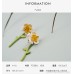 Small flower stud earrings for women, hypoallergenic, three-dimensional petal earrings, 2023 new style, trendy and fairy-like earrings, versatile temperament